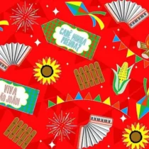 TNT Estampado Vermelho Arraial 1 m X 1.40 m  - Mewi