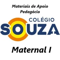 02-Souza - Maternal 1