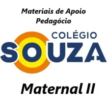 03-Souza - Maternal 2