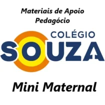 01-Souza - Mini Maternal