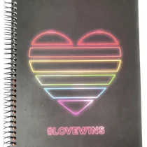 Caderno Love wins 10 Mat. 160 Fls. – SD